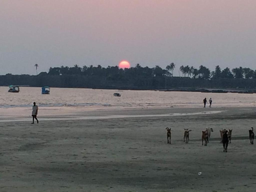 Acharekar's - Adorable Ac And Non Ac With Free Wi-fi * Malvan